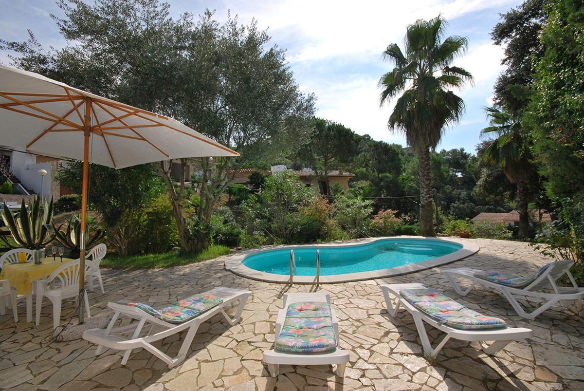 Club Villamar - Amalia